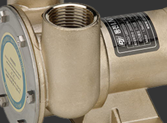 GENERAL MULTI-PURPOSE FLEXIBLE IMPELLER PUMPS